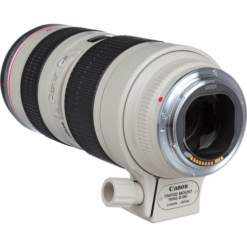 Far EyE Flims Canon EF 70-200mm f:2.8L USM Lens3